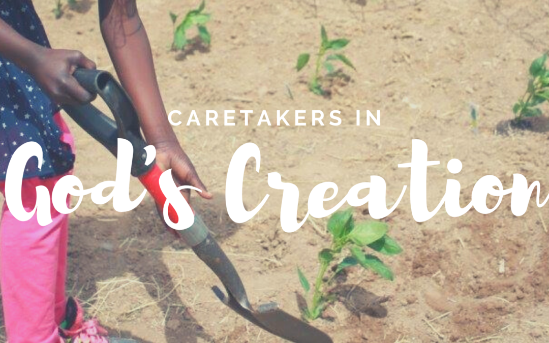 Caretakers in God’s Creation