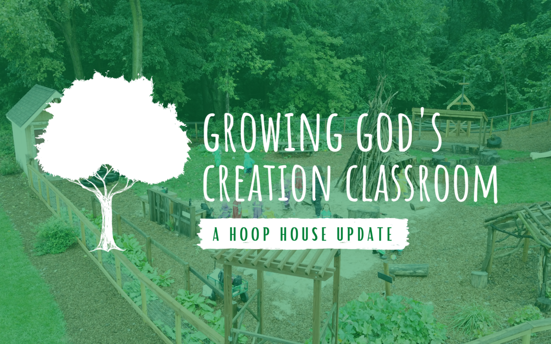 Growing God’s Creation Classroom: A Greenhouse Update